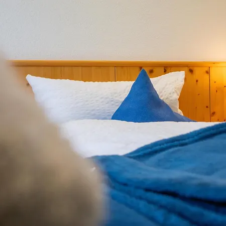 Alte Muehle Apartmán