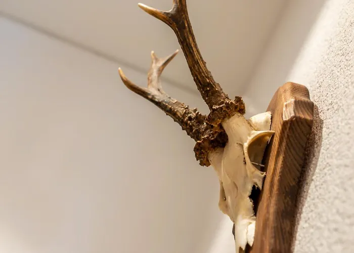 Alte Muhle ناودرس